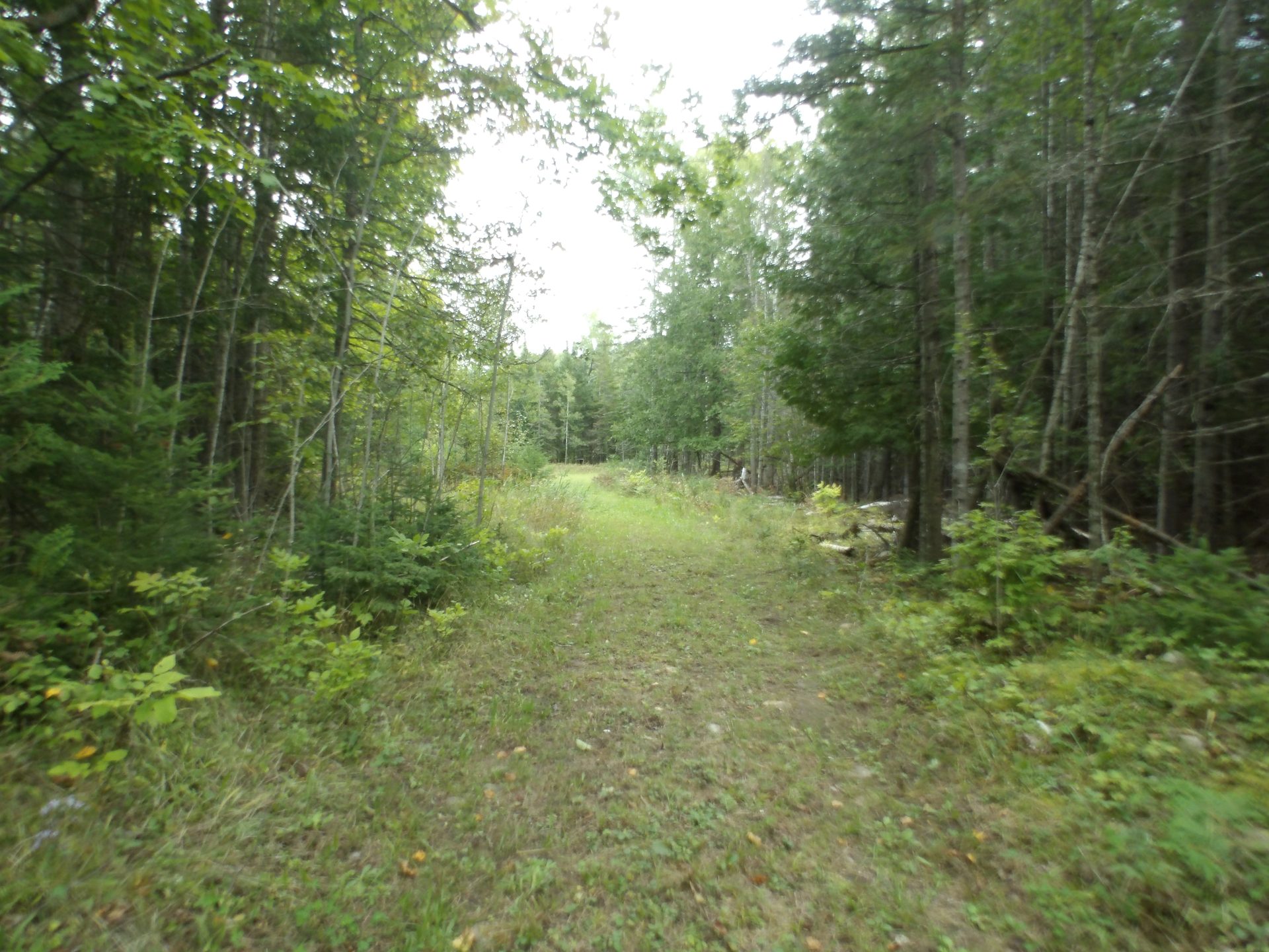 Groomed Trails