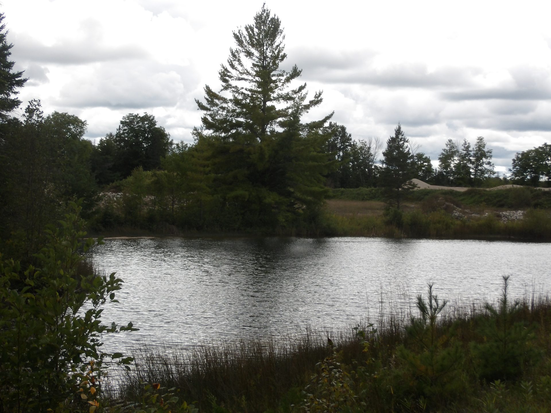 Pond Views