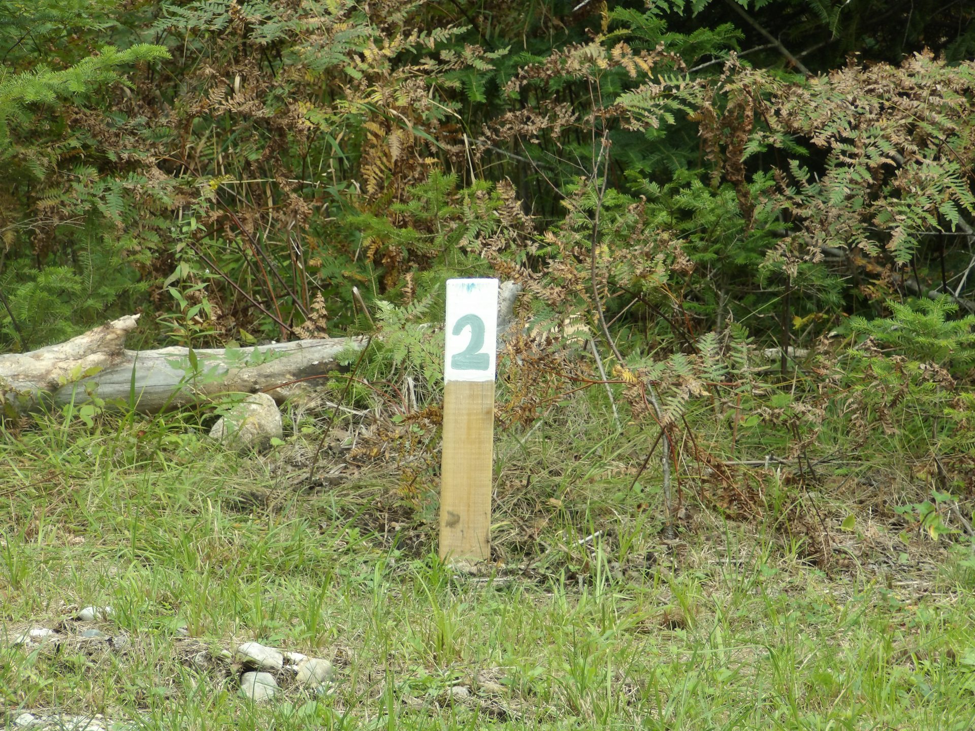 Campground photo 11